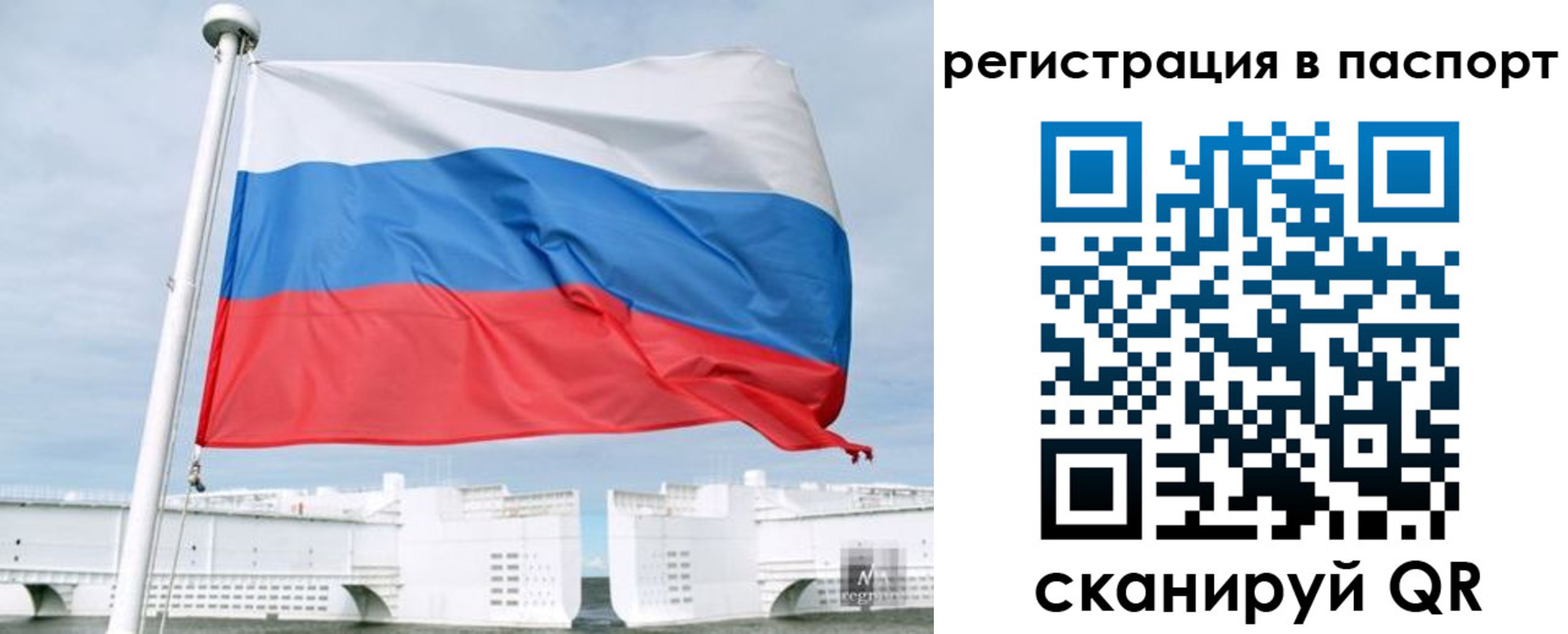 регистрация в Амурской области