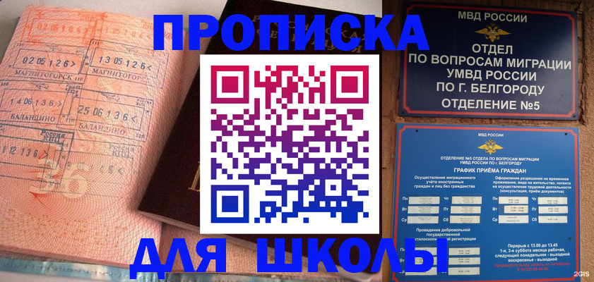 прописка иностранных граждан в Амурской области
